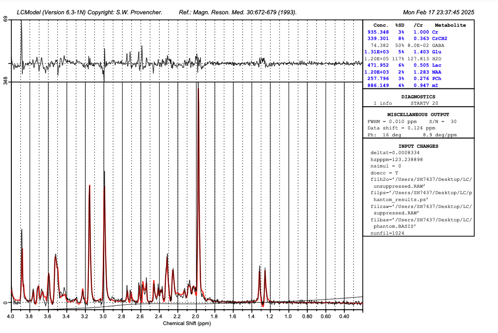 LCModel Output of Proton MR Spectroscopy