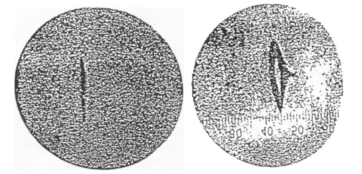 ../../_images/result.png